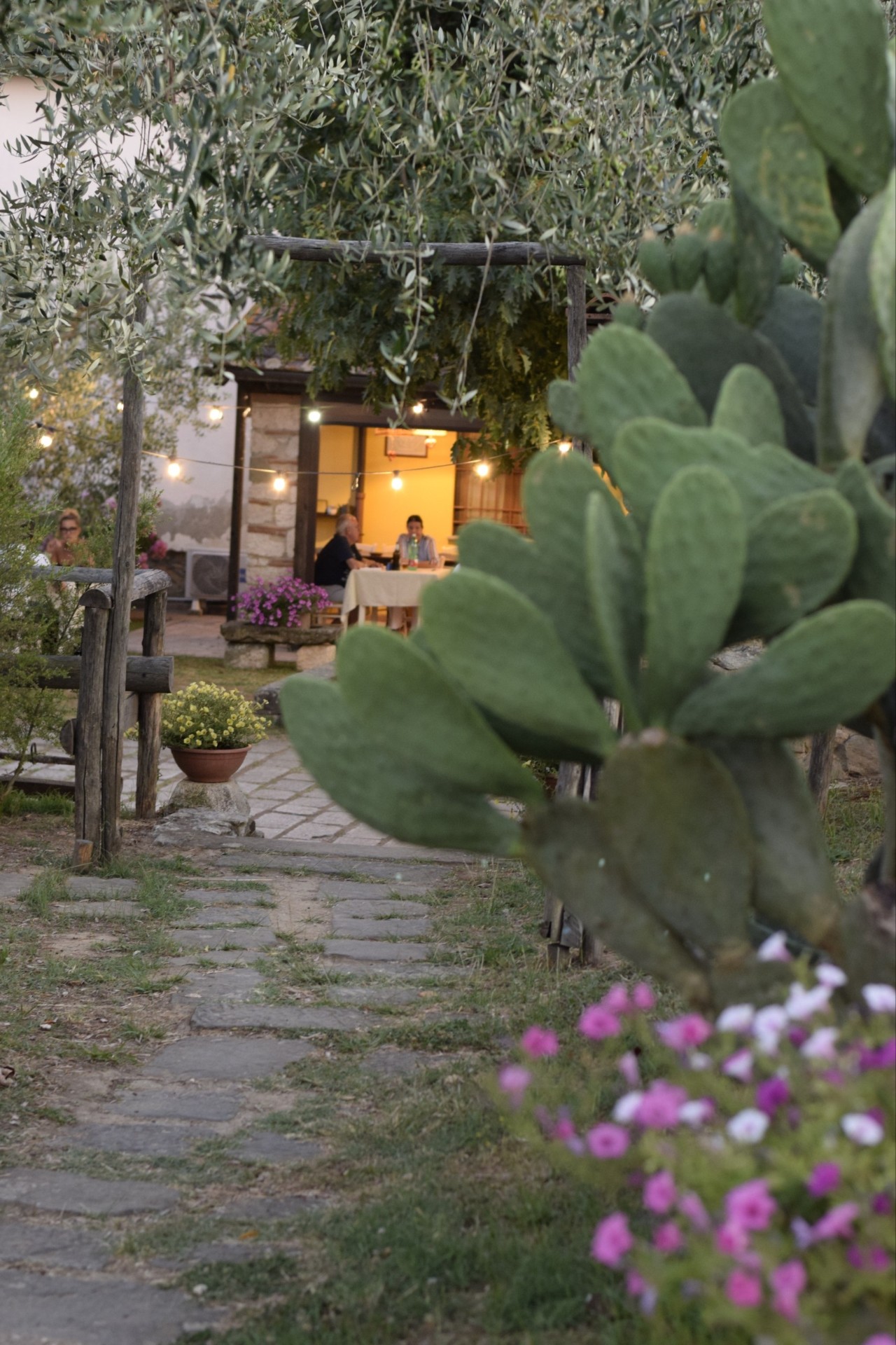 Vialetto verso la pergola al tramonto