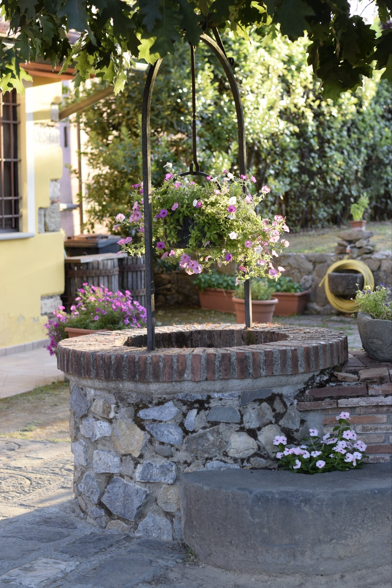 Casolare toscano dell'agriturismo Da Cicione tra ulivi