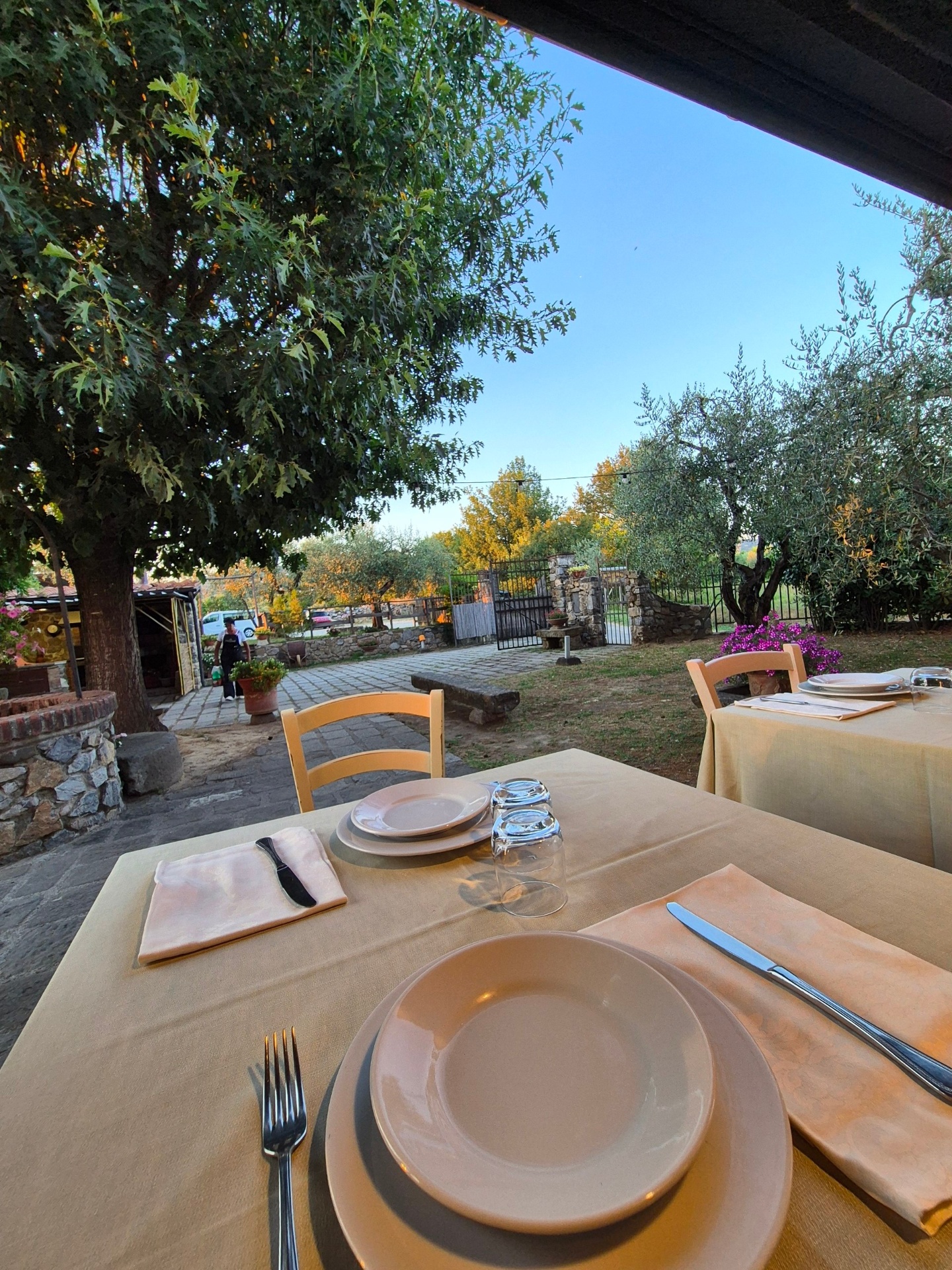 Tavolo apparecchiato con vista sul giardino e ulivi